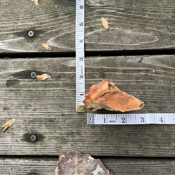 Petrified Wood 2 Piece Set - Picture 15 of 16